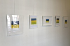 IMG_7384 IMG_7384