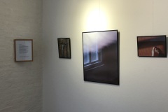 IMG_7391 IMG_7391