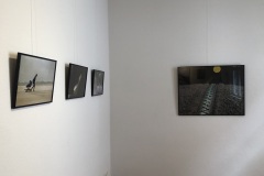 IMG_7394 IMG_7394